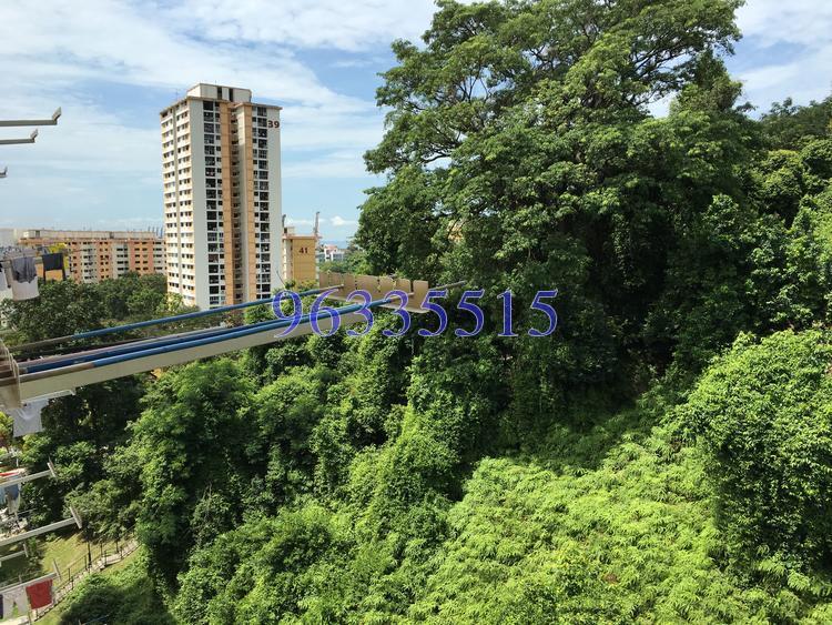 Blk 31 Telok Blangah Rise (Bukit Merah), HDB 3 Rooms #121668112